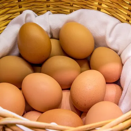 Cvjm Am Wollmarkt 2*